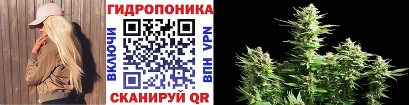 Где купить Кирс Бошки Шишки  Кокаин  Alpha-PVP  Амфетамин  гидра вход  Меф 