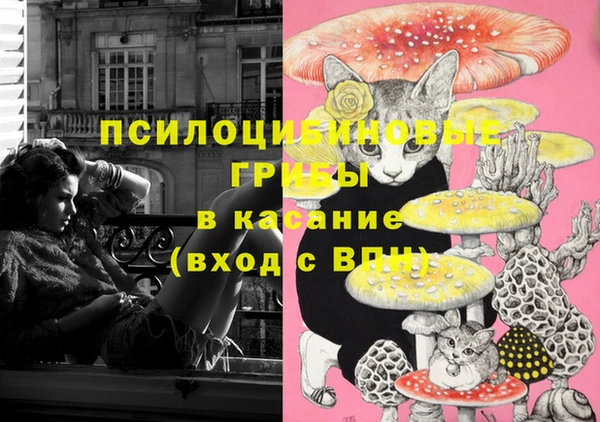 не бодяженный Козловка