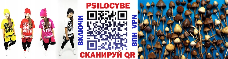Галлюциногенные грибы мухоморы  маркетплейс какой сайт  Кирс  купить закладку 